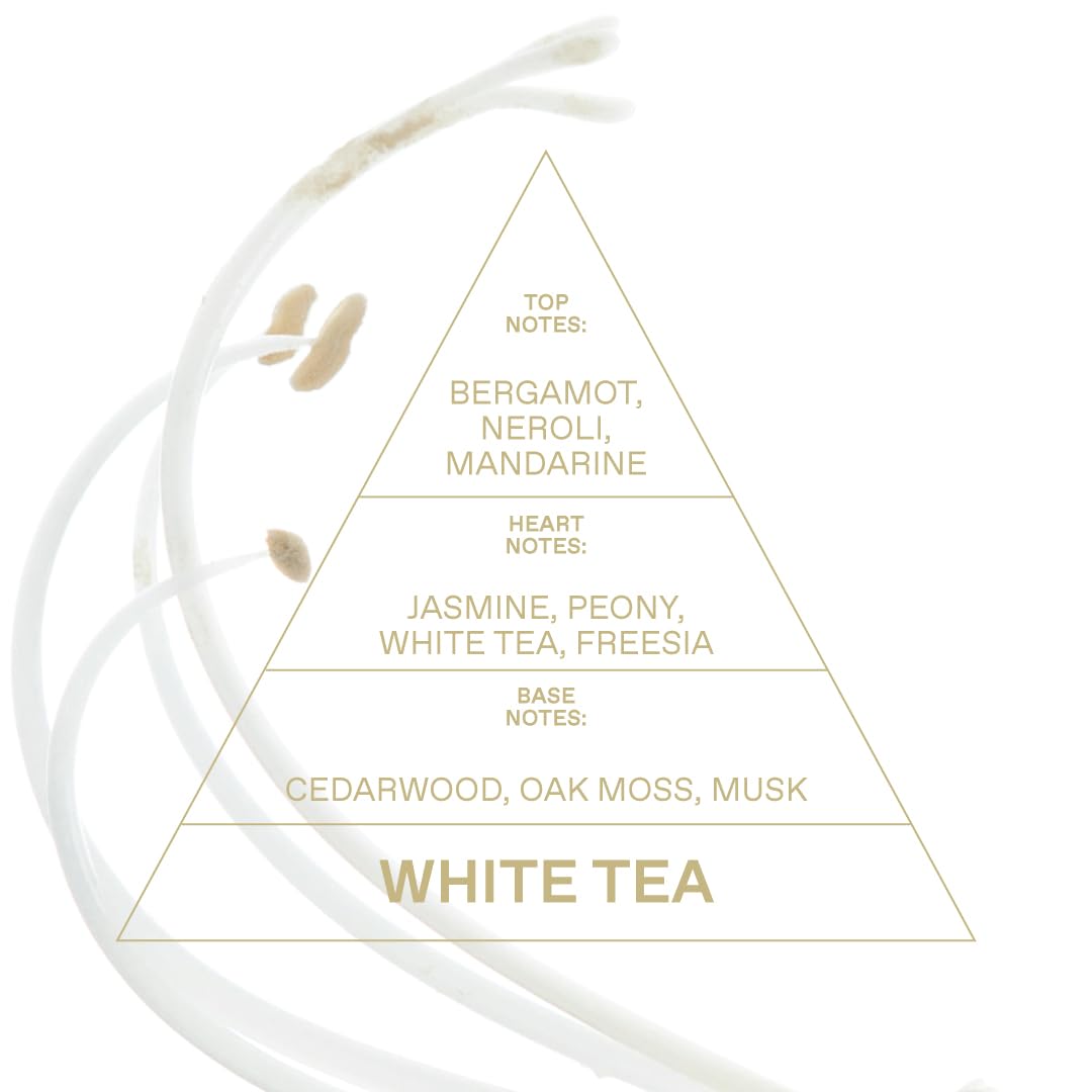 White Tea Eau De Toilette 1.69 FlOz Q640