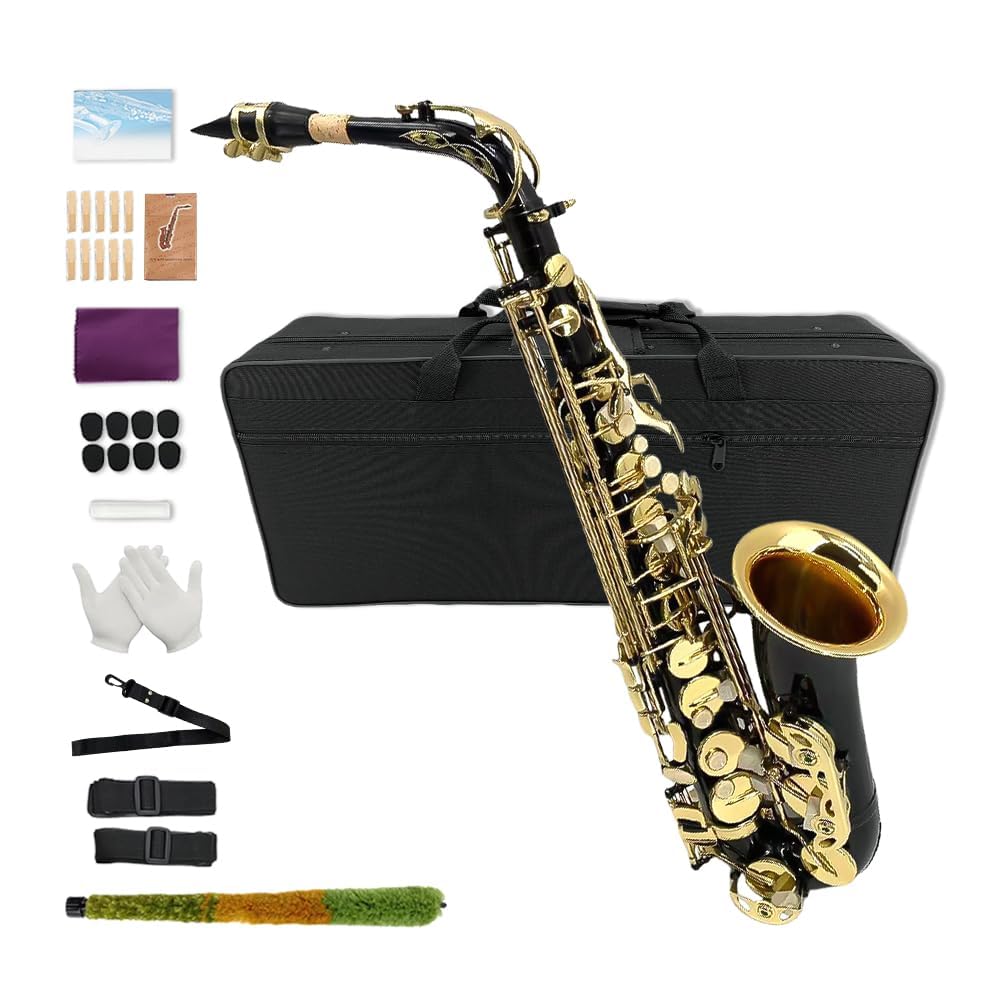 Eb Alto Saxophone Full Kit Black & Gold D3110
