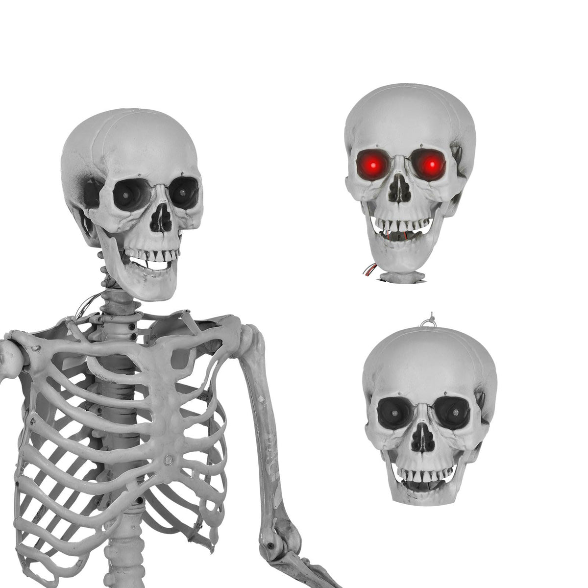 5.4 Ft Lighted Life Size Plastic Skeleton with Movable Joint V42884