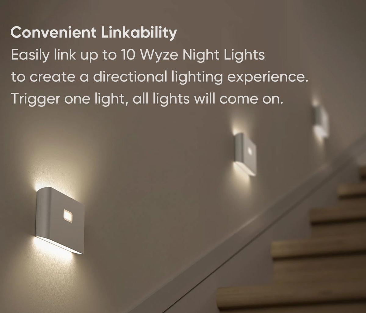 Smart Scale & Night Lights 3 Pack X449