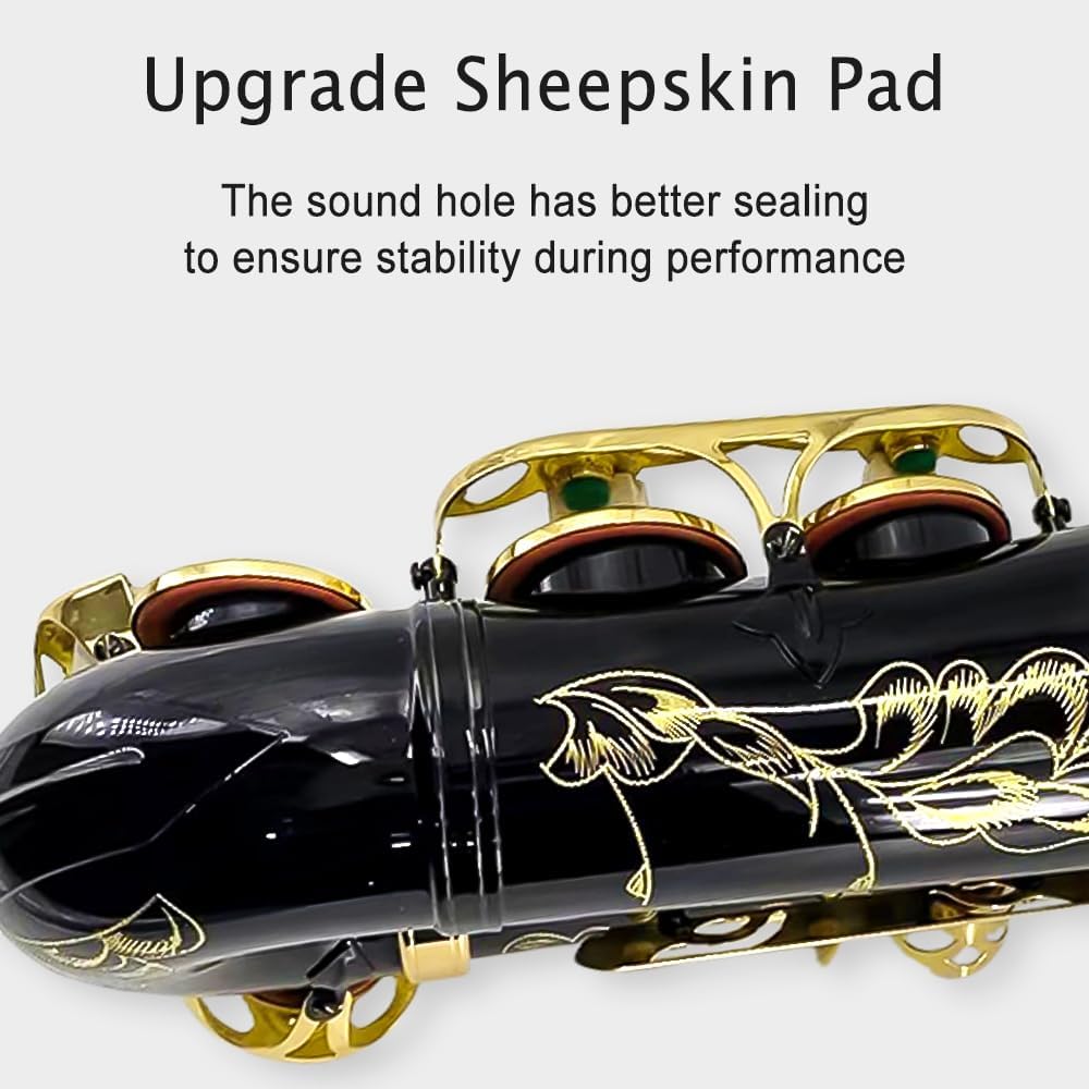Eb Alto Saxophone Full Kit Black & Gold D3110