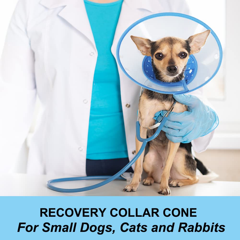 Blue Dog Recovery Cone V90952