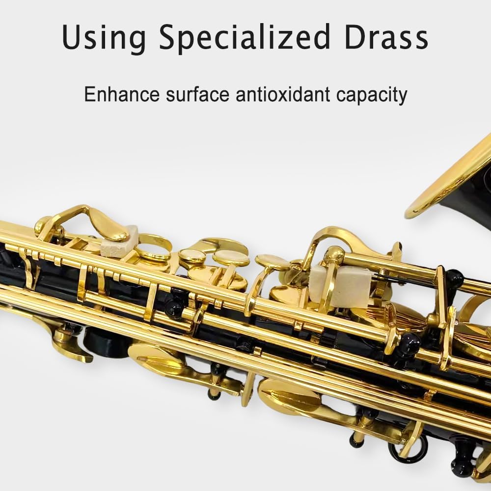 Eb Alto Saxophone Full Kit Black & Gold D3110