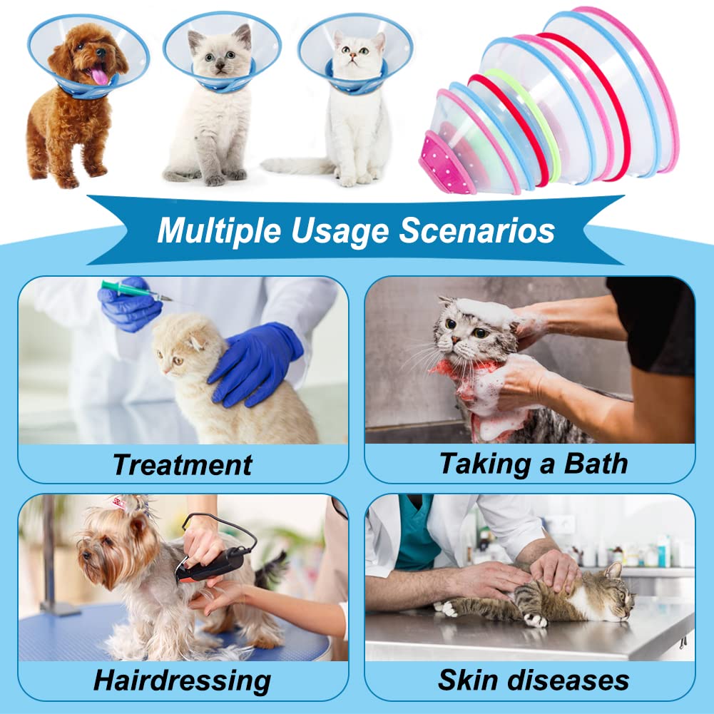 Blue Dog Recovery Cone V90952