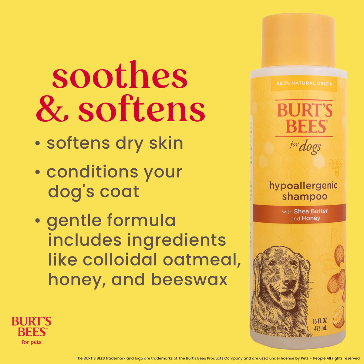 Hypoallergenic Dog Shampoo Shea Butter Honey 16 Fl Oz T5111