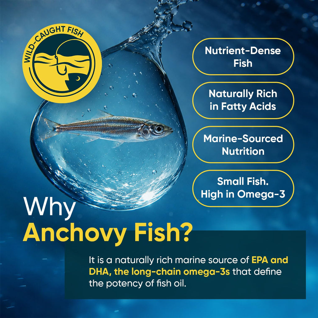 Omega 3 Fish Oil 3000mg 240 Softgels G8248