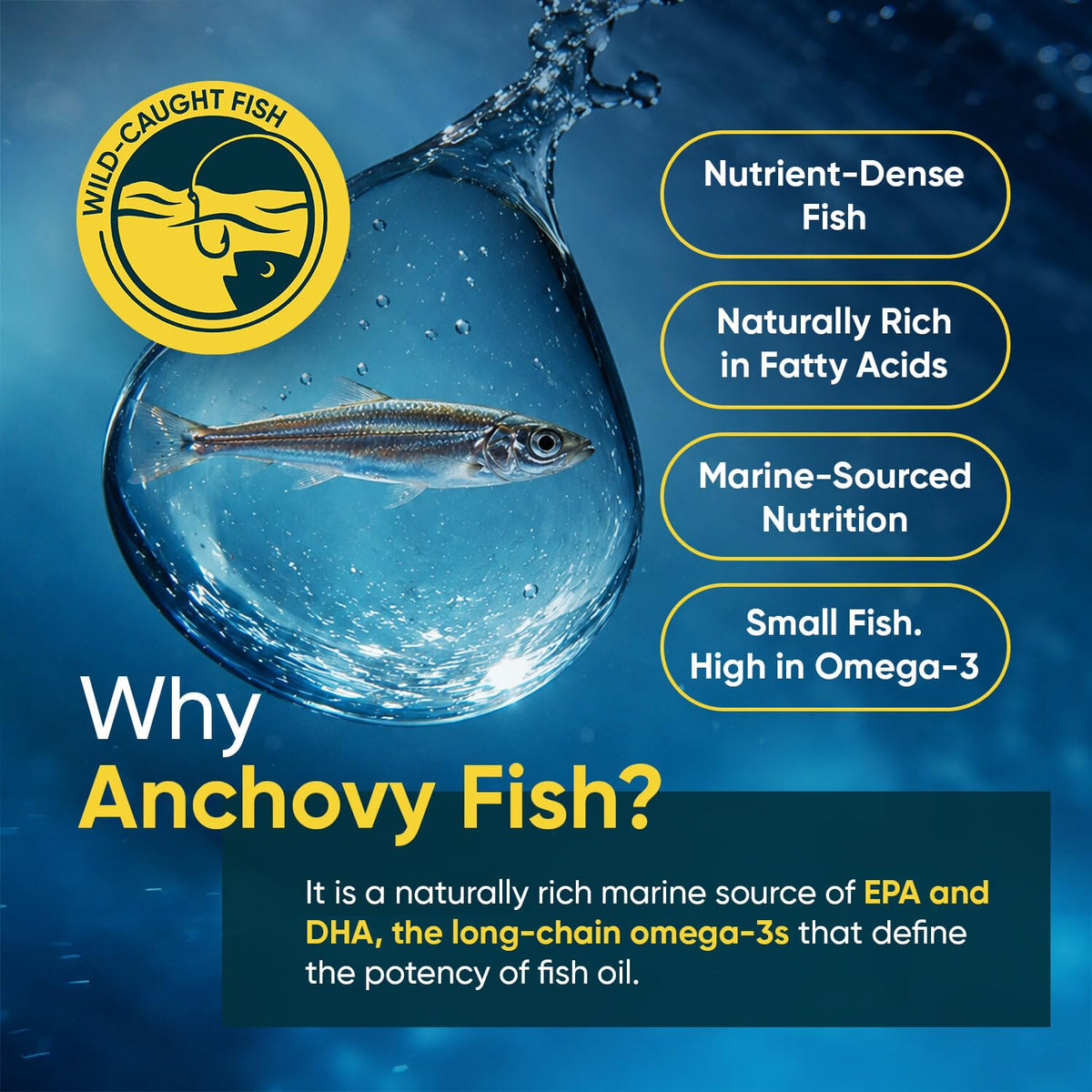 Omega 3 Fish Oil 3000mg 240 Softgels G8248
