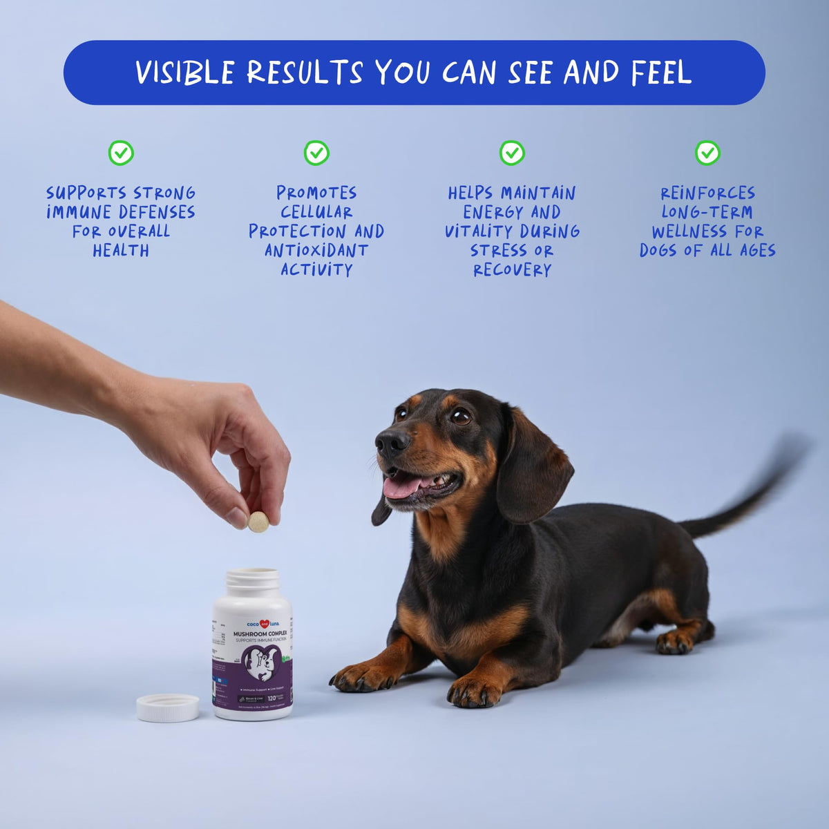 Turkey Tail Mushroom Supplement for Dogs, 120 ct V69605