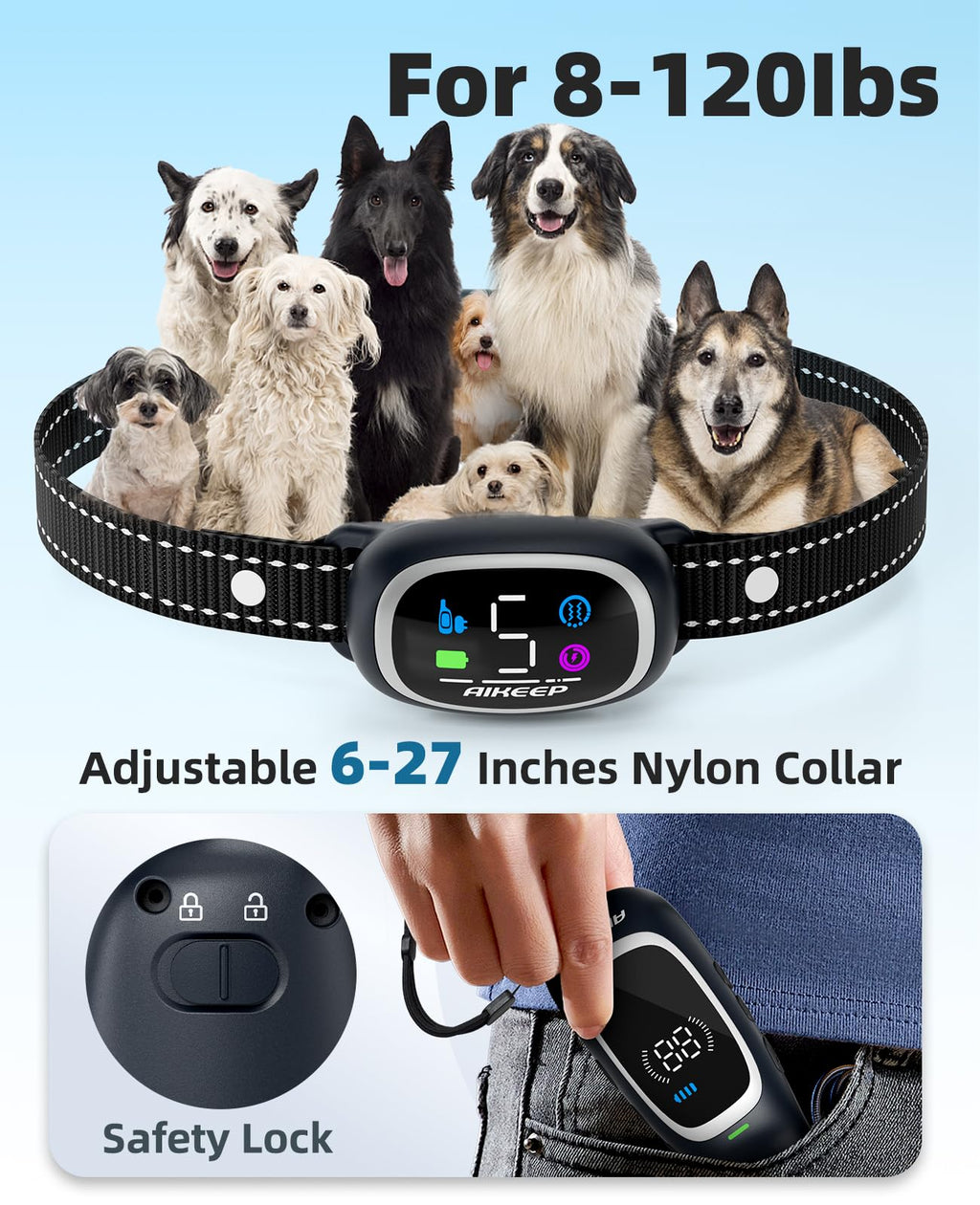 2-in-1 Dog Training Collar with Remote Z905650
