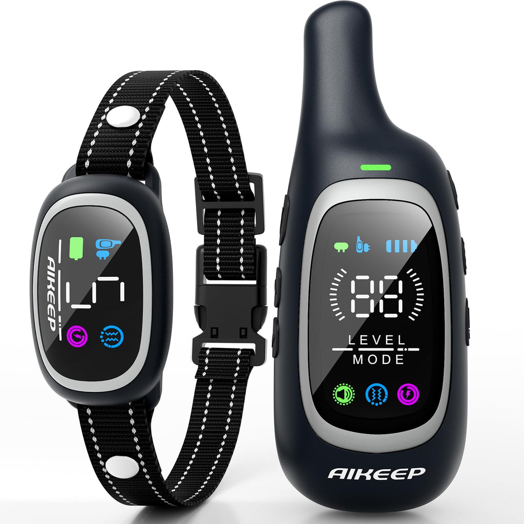 2-in-1 Dog Training Collar with Remote Z905650