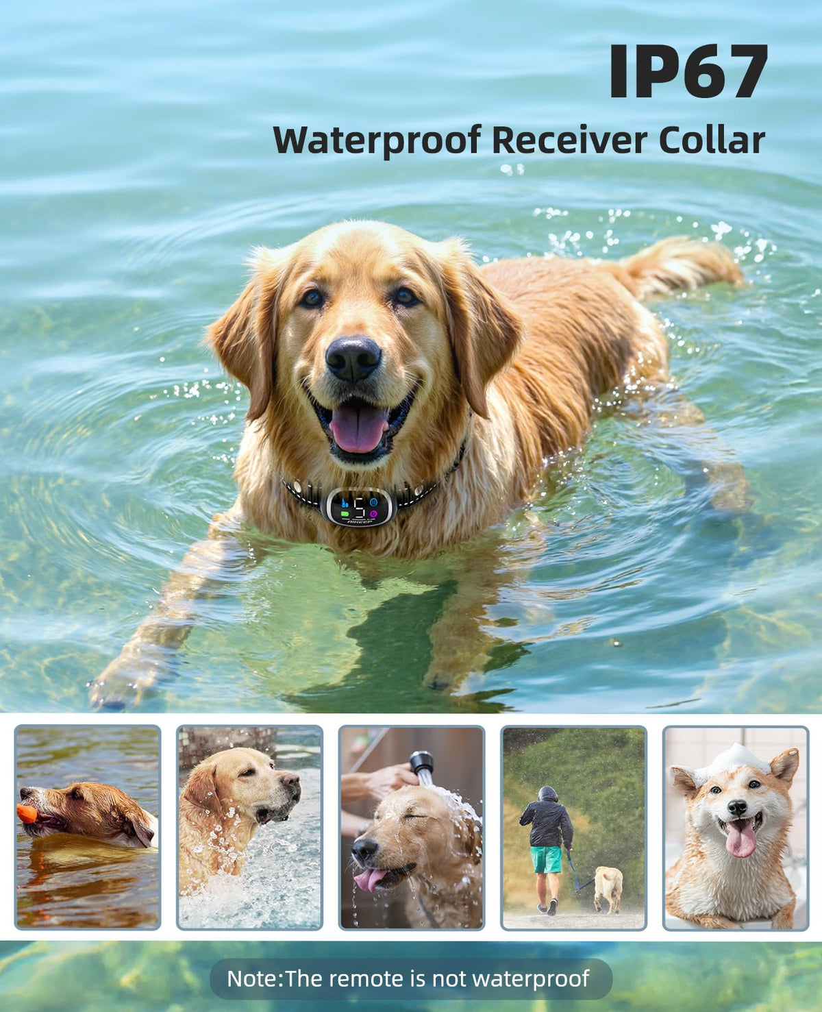 2-in-1 Dog Training Collar with Remote Z905650
