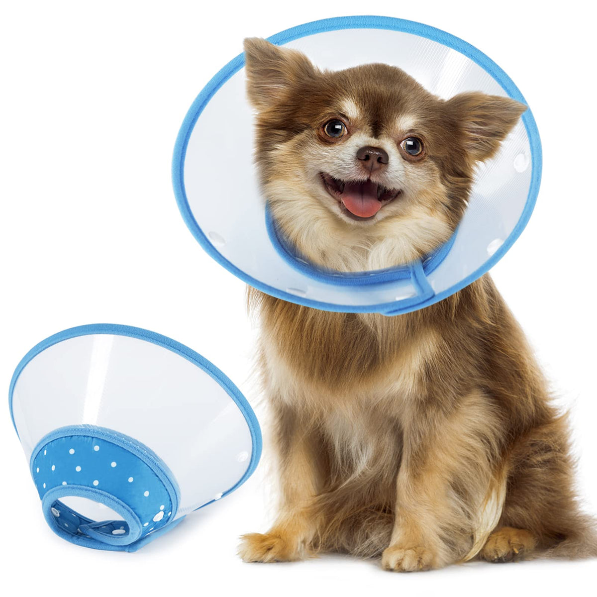 Blue Dog Recovery Cone V90952