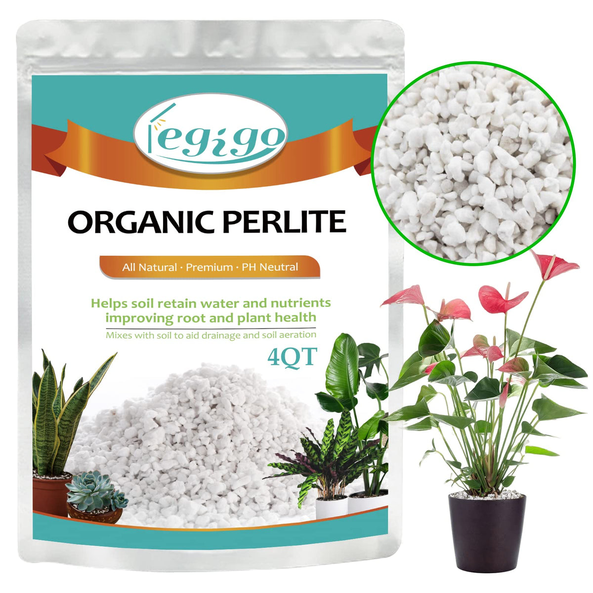 4 Quarts Organic Perlite for Plants N3625