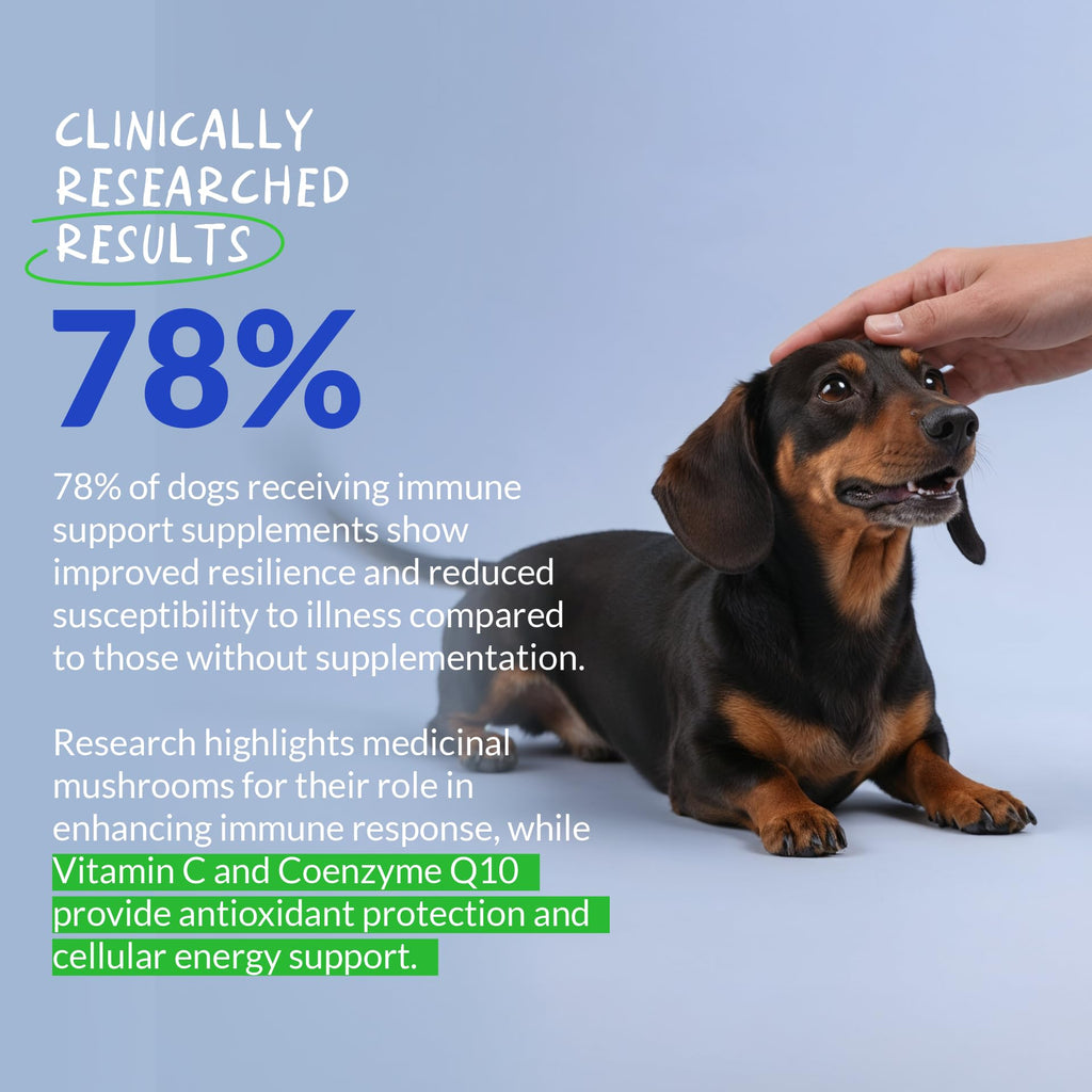 Turkey Tail Mushroom Supplement for Dogs, 120 ct V69605