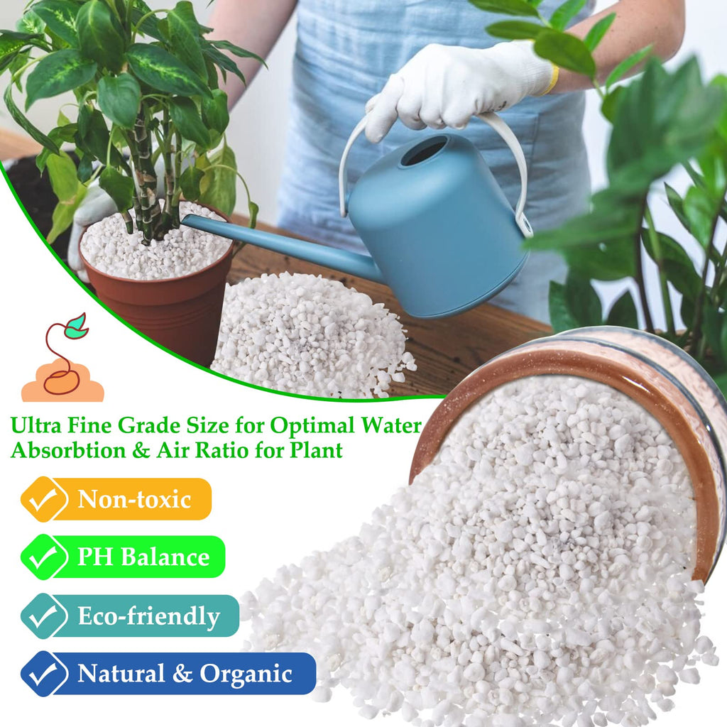 4 Quarts Organic Perlite for Plants N3625