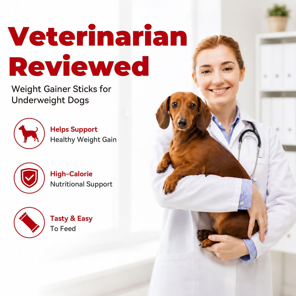 High Calorie Weight Gain Supplement for Dogs with Probiotics, Taurine & Vitamin E T20874