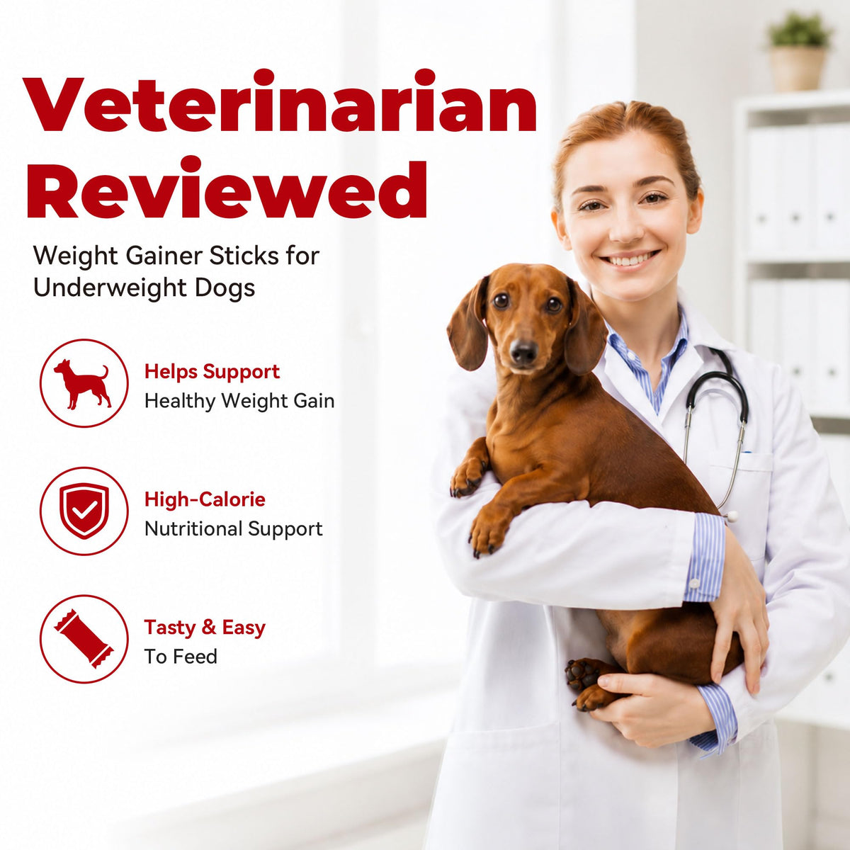 High Calorie Weight Gain Supplement for Dogs with Probiotics, Taurine & Vitamin E T20874