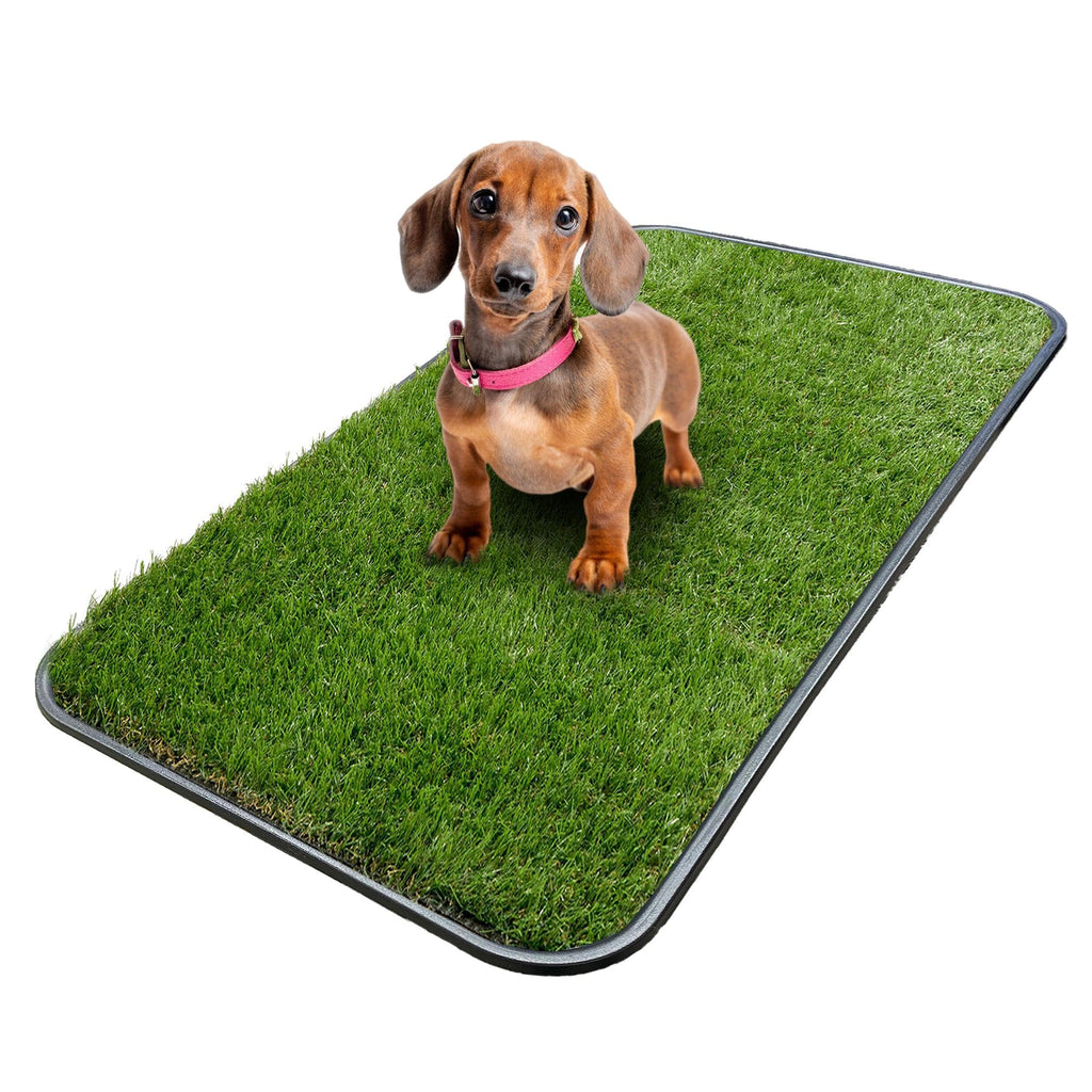 Artificial Grass Puppy Potty Training Pad with Tray 15" x 30" R517433