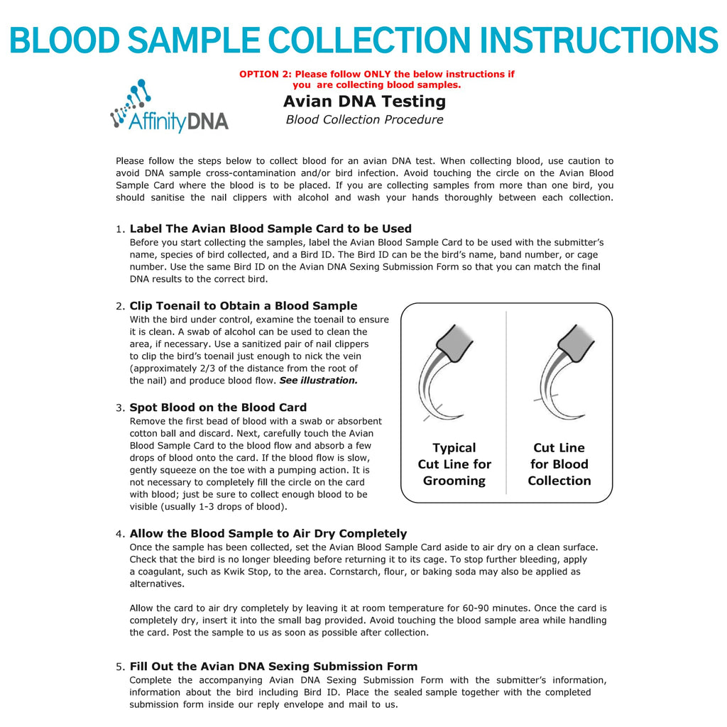 Bird Gender DNA Test Kit M47720