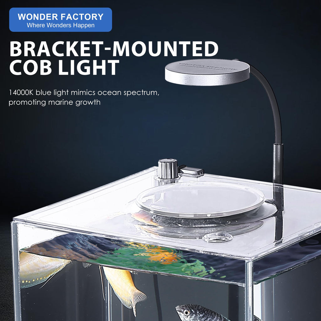 3 Gallon Fish Tank Aquarium B616646