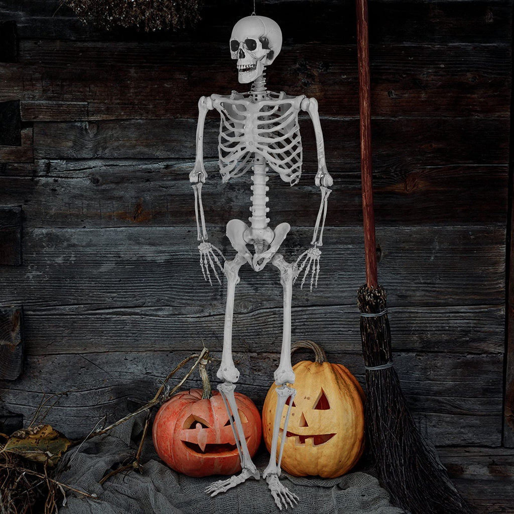 5.4 Ft Lighted Life Size Plastic Skeleton with Movable Joint V42884