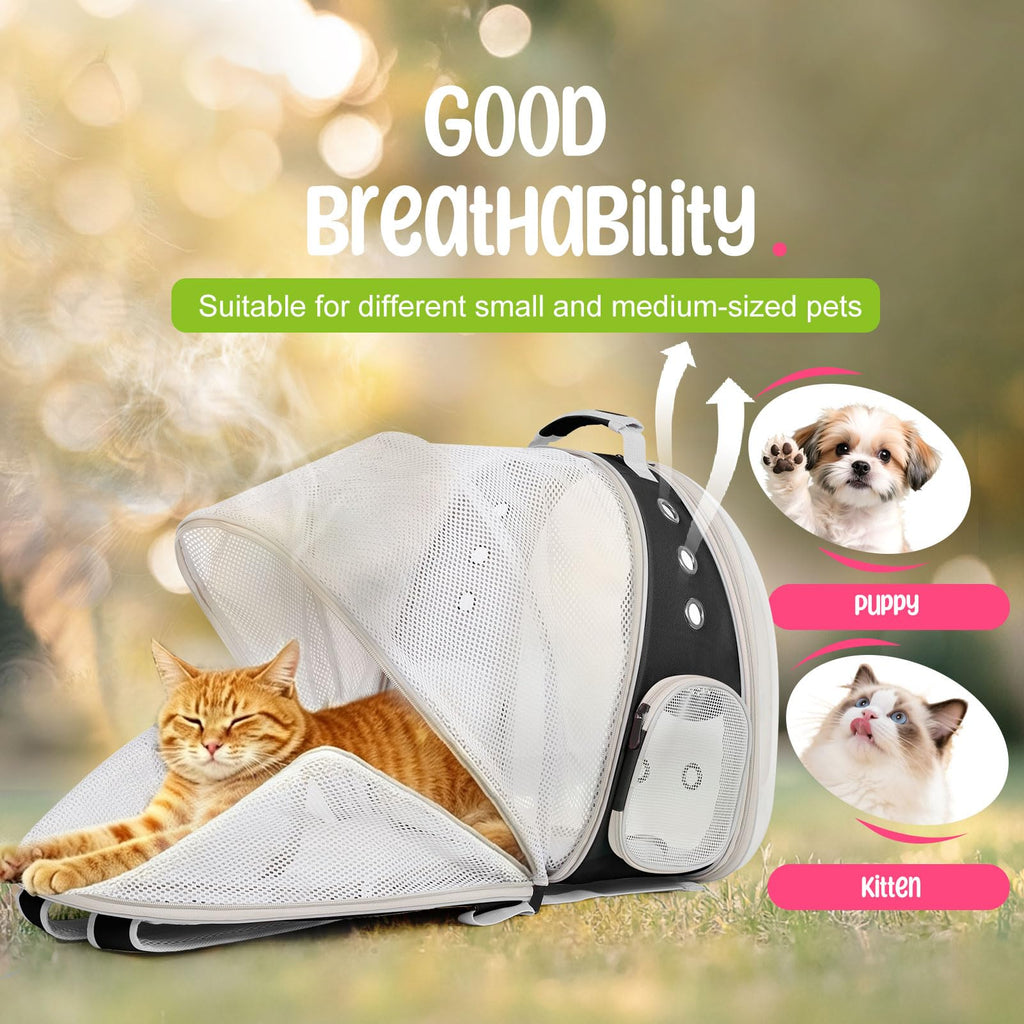 Large Cat Backpack Carrier U849765