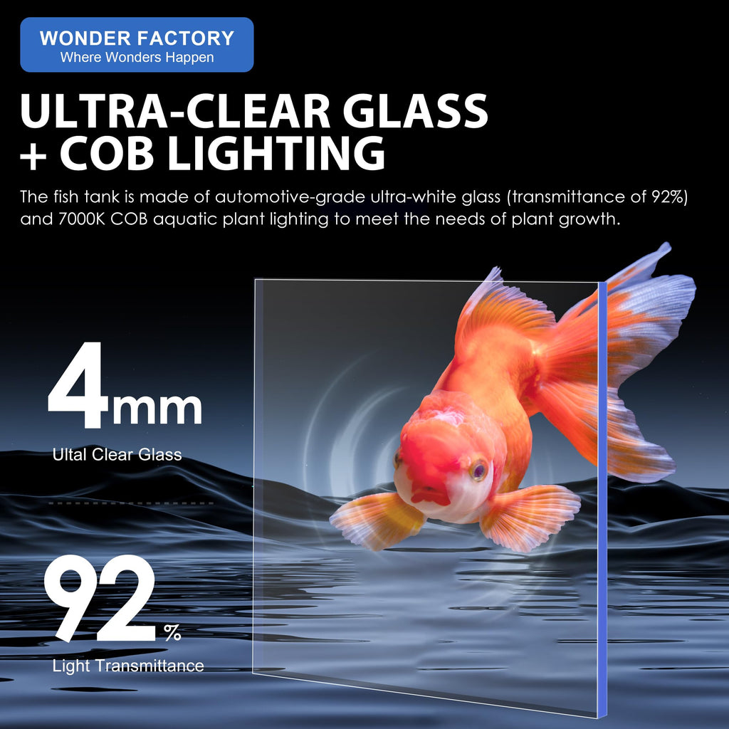 3 Gallon Fish Tank Aquarium B616646