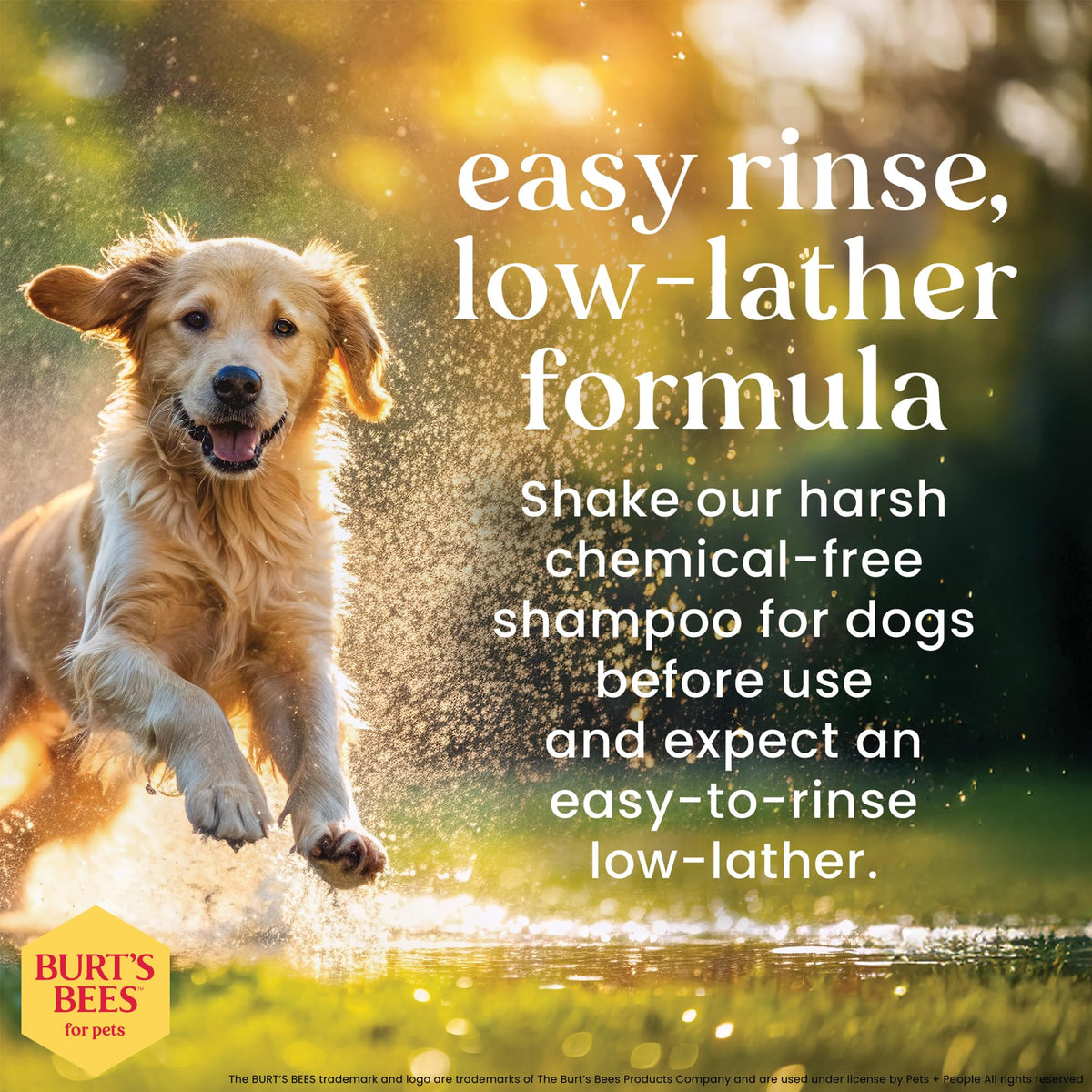 Hypoallergenic Dog Shampoo Shea Butter Honey 16 Fl Oz T5111