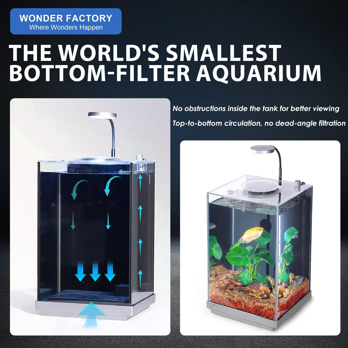 3 Gallon Fish Tank Aquarium B616646