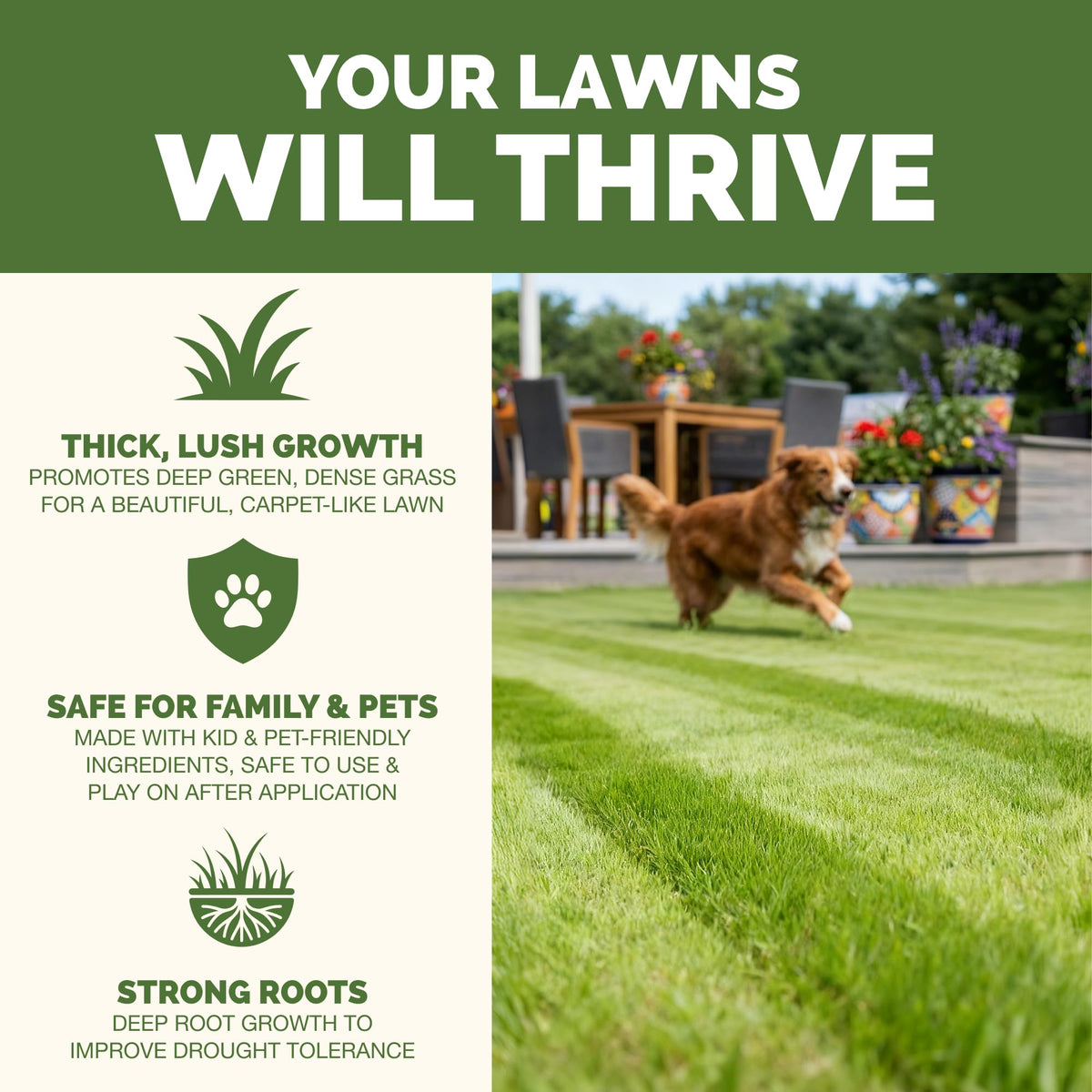 Liquid Lawn Fertilizer 1 Gallon J63705