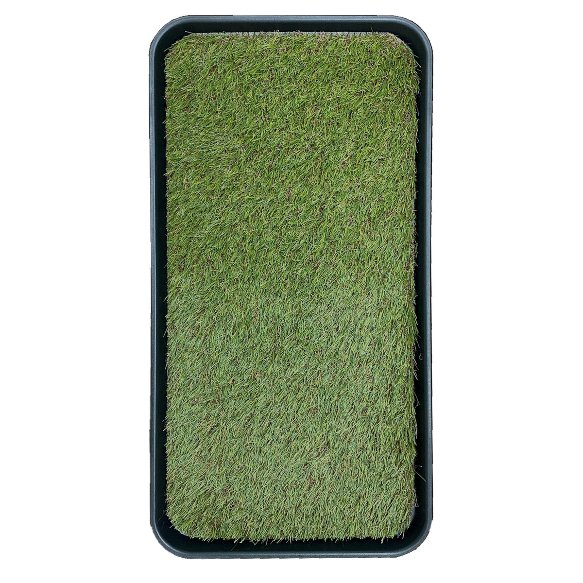 Artificial Grass Puppy Potty Training Pad with Tray 15" x 30" R517433