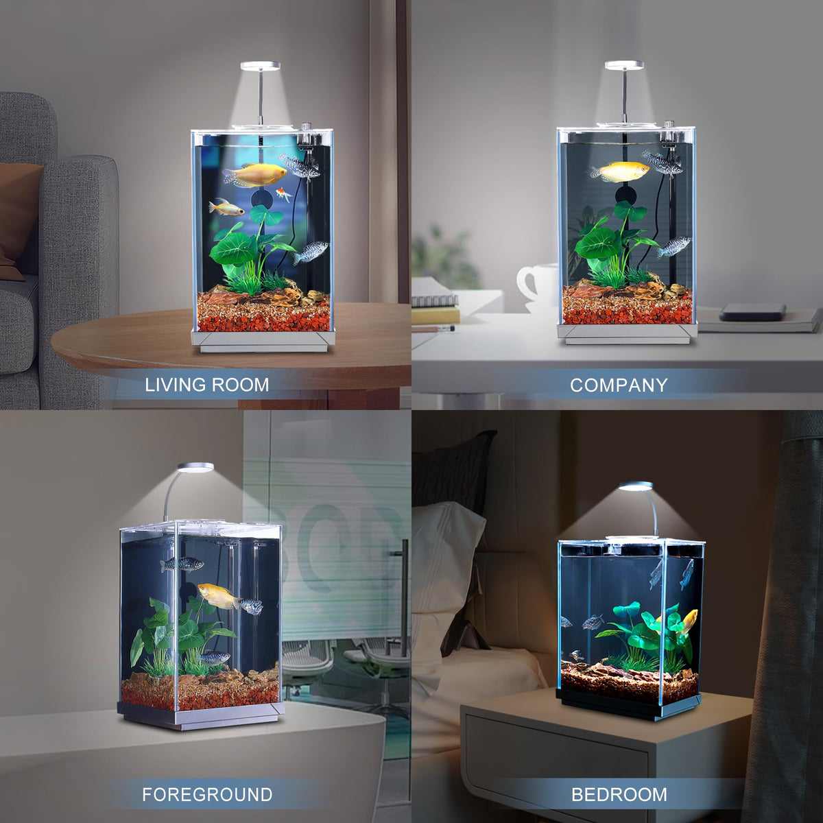 3 Gallon Fish Tank Aquarium B616646