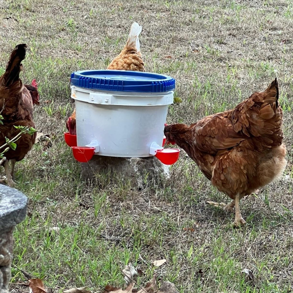 12 Pack Poultry Waterer Cups with Drill Z3454