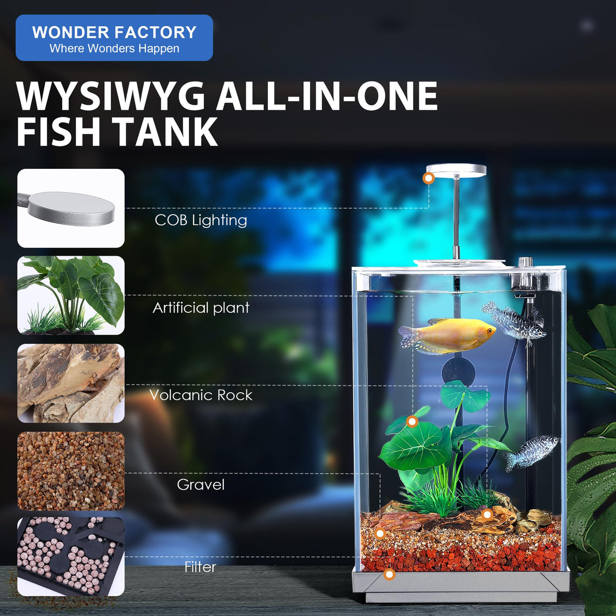 3 Gallon Fish Tank Aquarium B616646
