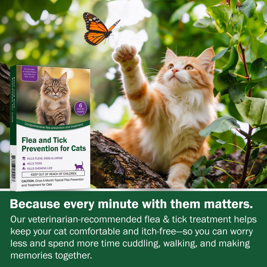 Cat Flea and Tick Prevention 6-Month Supply K7507