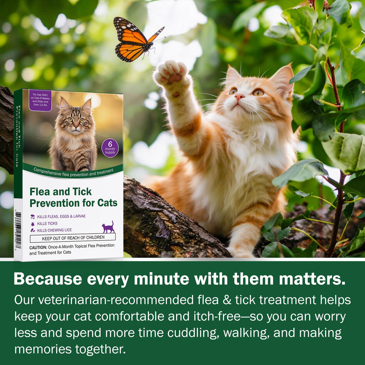 Cat Flea and Tick Prevention 6-Month Supply K7507