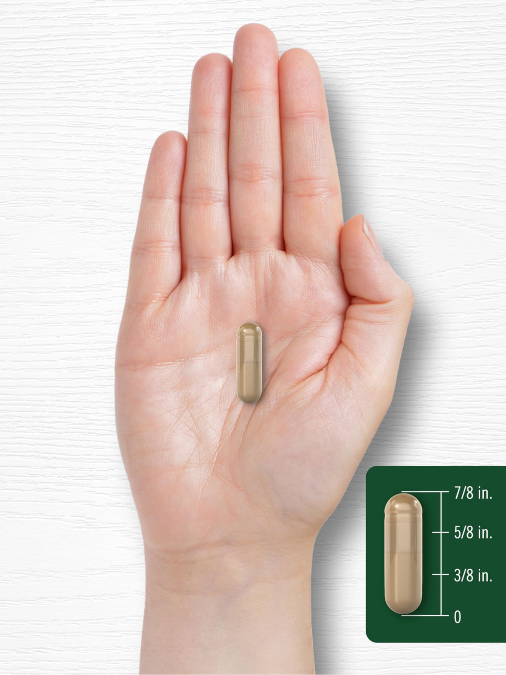 Cinnamon Capsules 120 Count L777