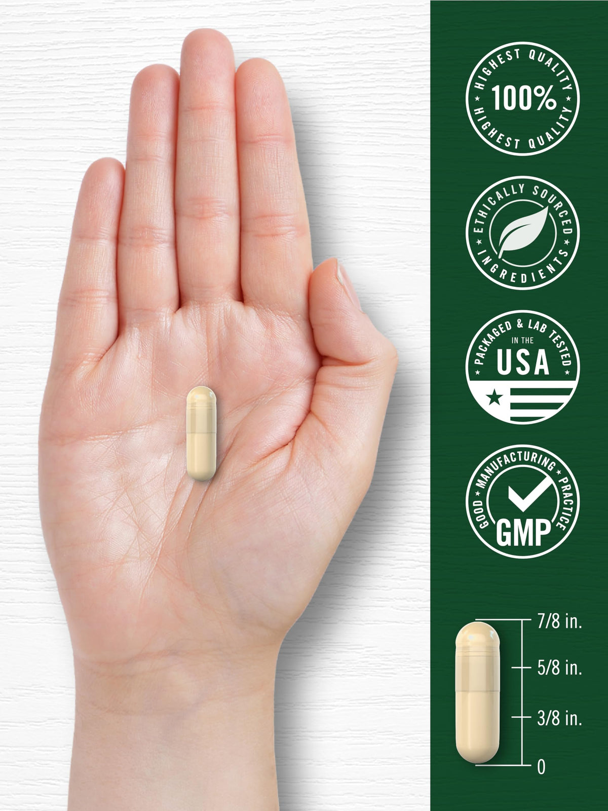 Cinnamon Capsules 120 Count L777