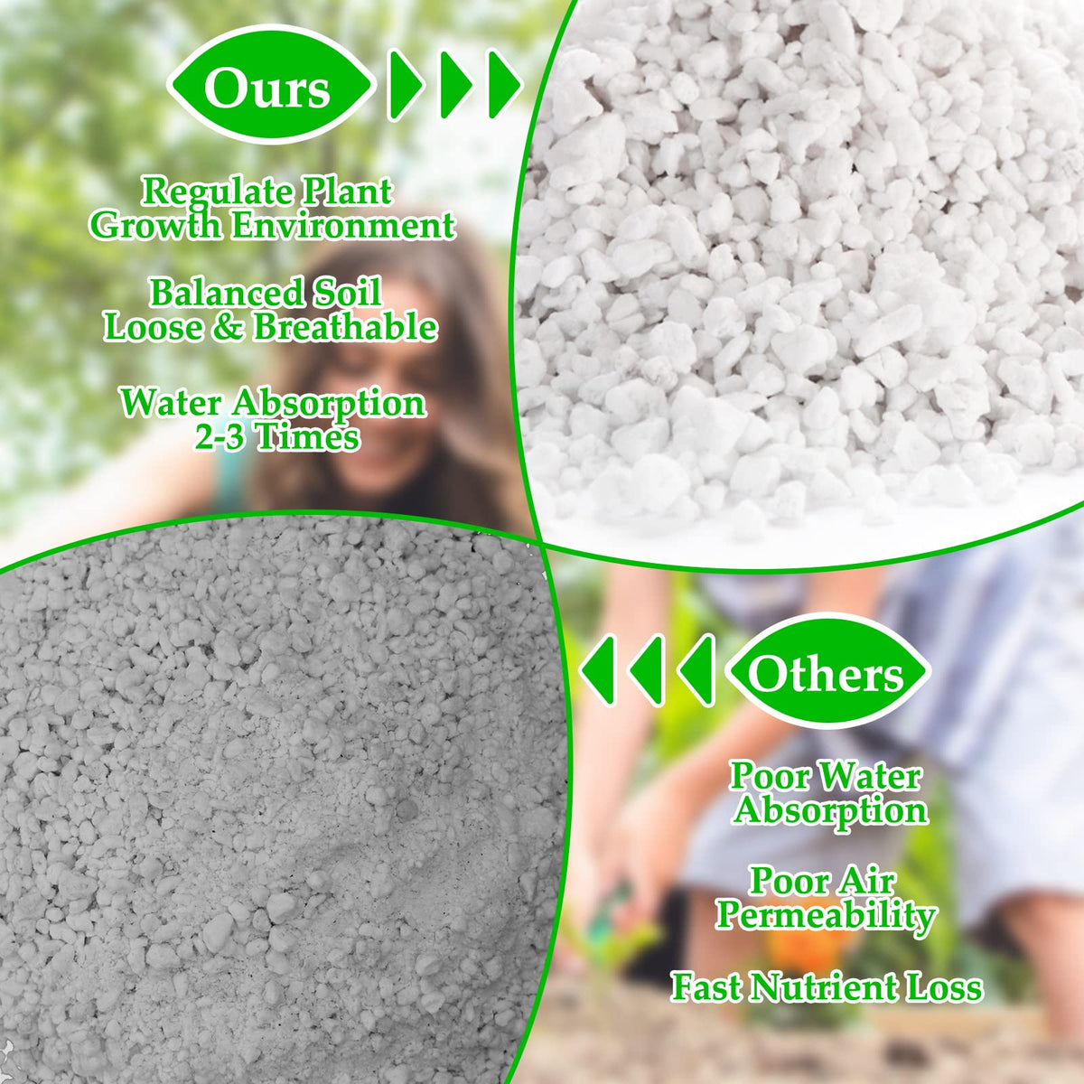 4 Quarts Organic Perlite for Plants N3625