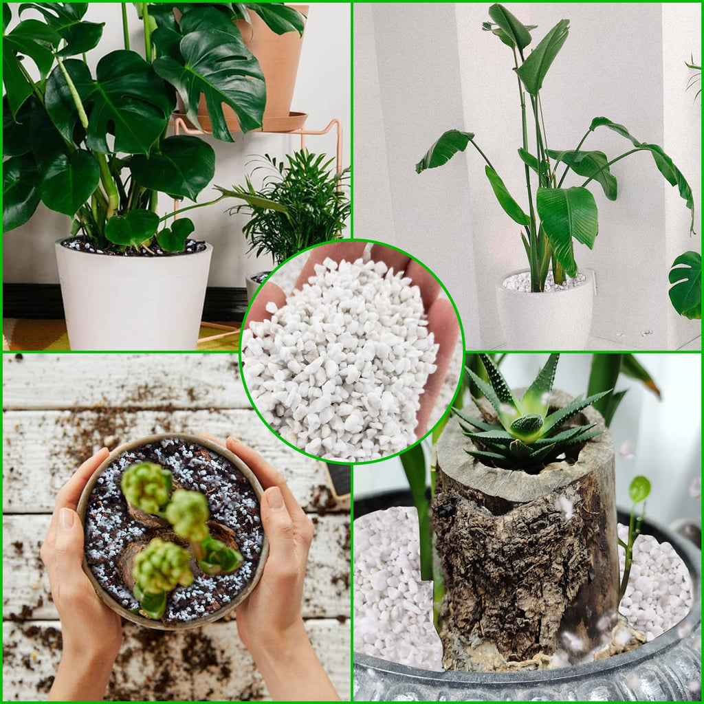 4 Quarts Organic Perlite for Plants N3625