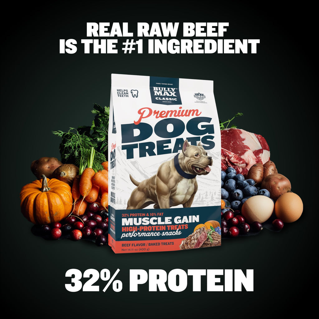 60ct Dog Treats with Vitamins G490